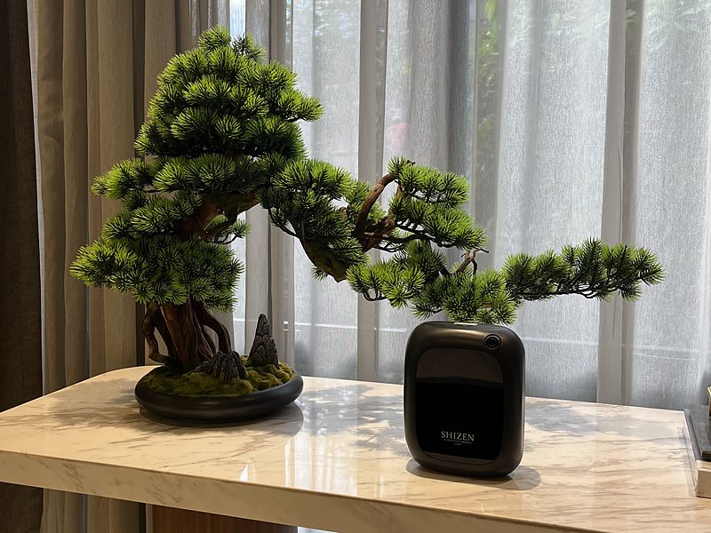 A bonsai and a black Shizen SBX1 scent diffuser on a marble console in front of sheer curtains