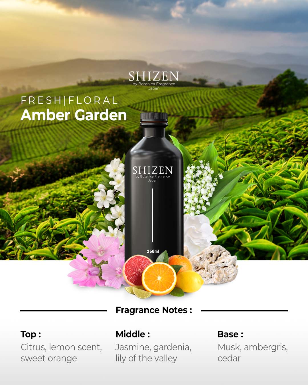 Amber Garden - Essential Oil Inspired by MGM Vegas - Image 2