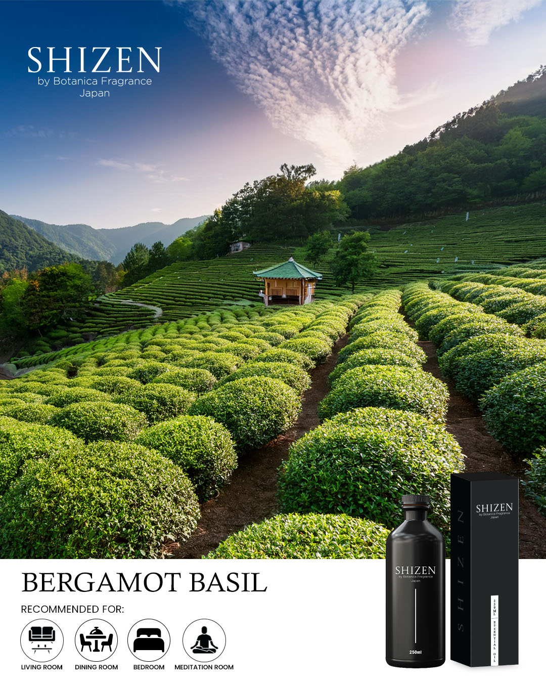 Bergamot Basil - Essential Oil Inspired by Roman holiday Rome - Image 3
