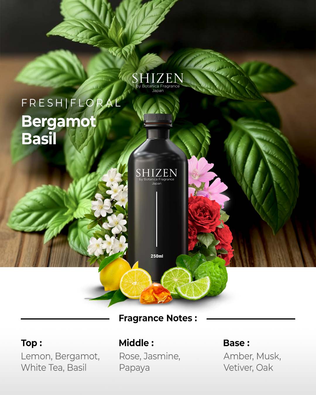 Bergamot Basil - Essential Oil Inspired by Roman holiday Rome - Image 2