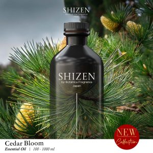 Cedar Bloom - Essential Oil Inspired by Park Hyatt