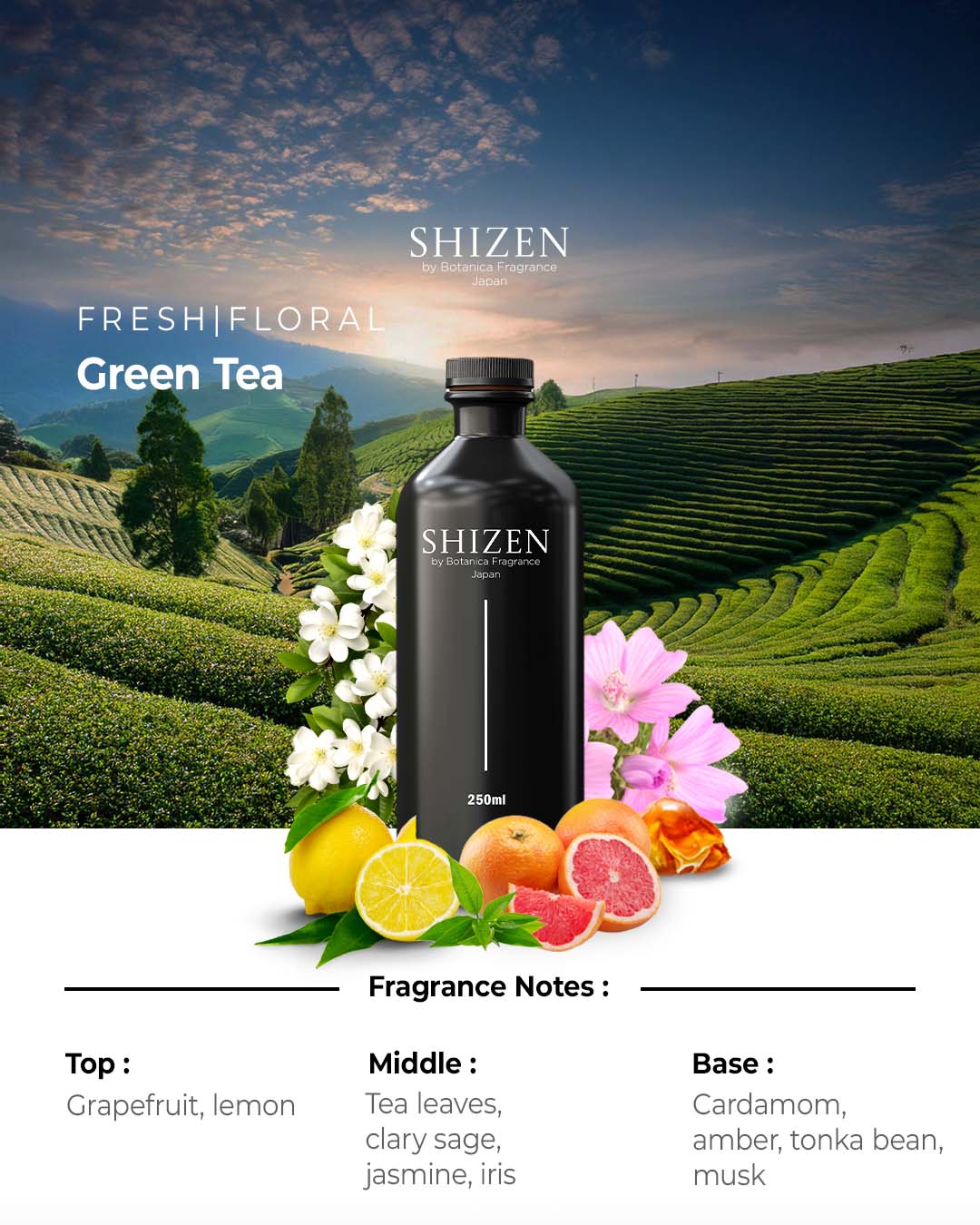 Green Tea - Essential Oil - Image 2