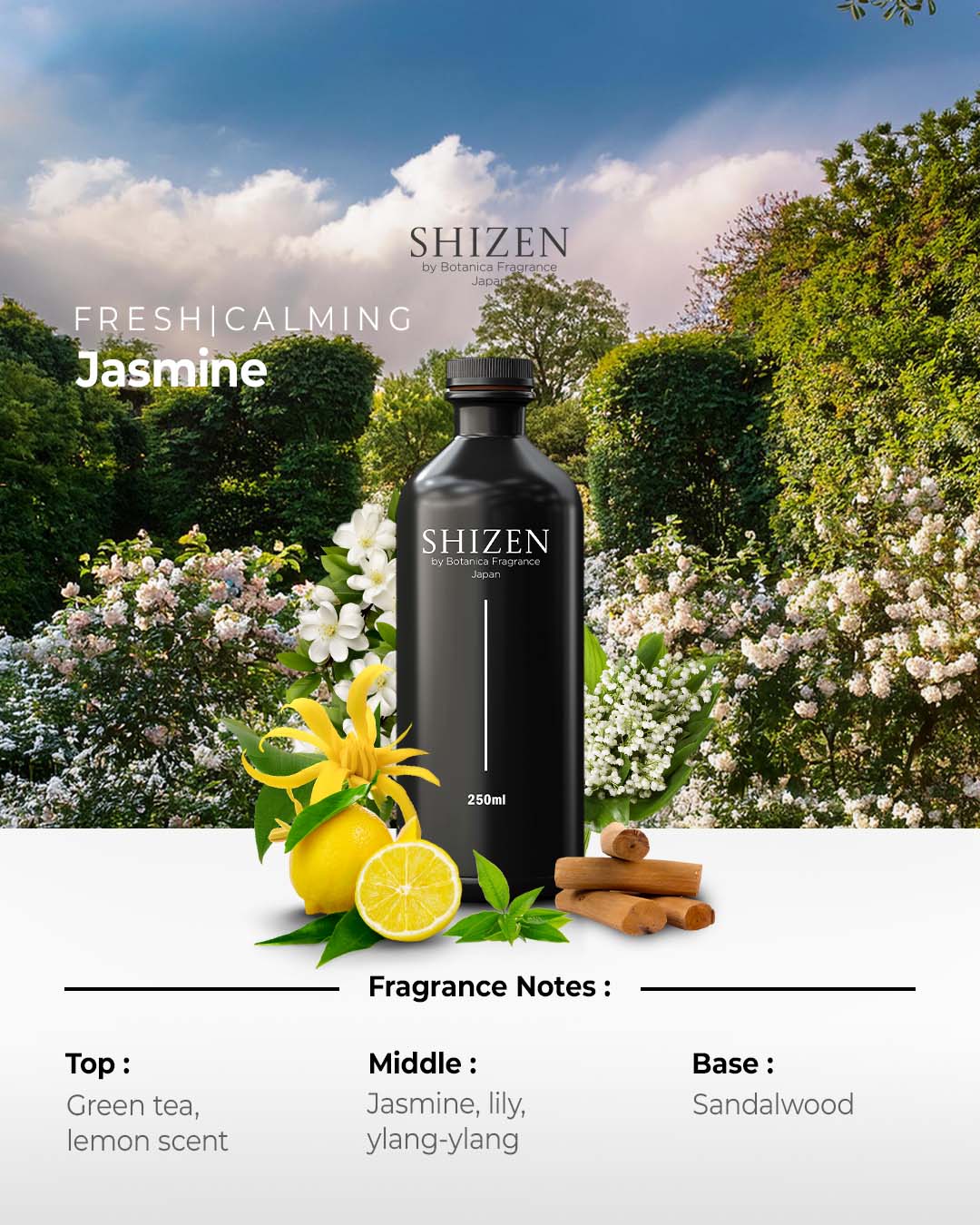 Jasmine - Essential Oil - Image 2