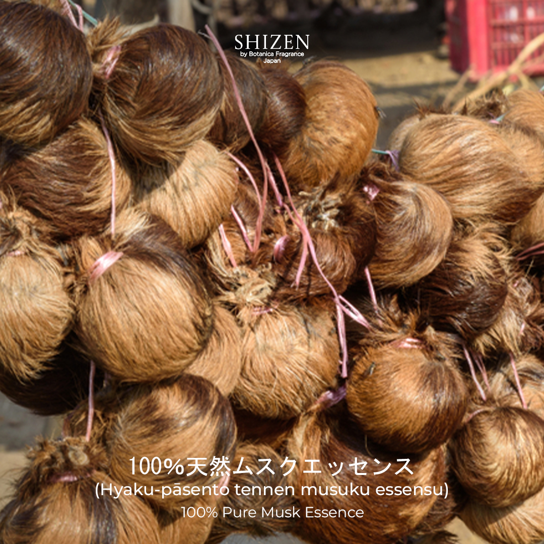 Shizen Essential Oil Musk Essence 15ml – 100% Pure untuk diffuser dan DIY aromatheraphy - Image 3