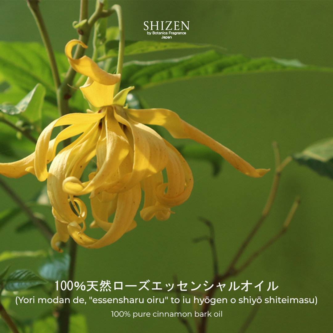 Shizen Essential Oil Ylang Ylang 15ml – 100% Pure untuk diffuser dan DIY aromatheraphy - Image 3